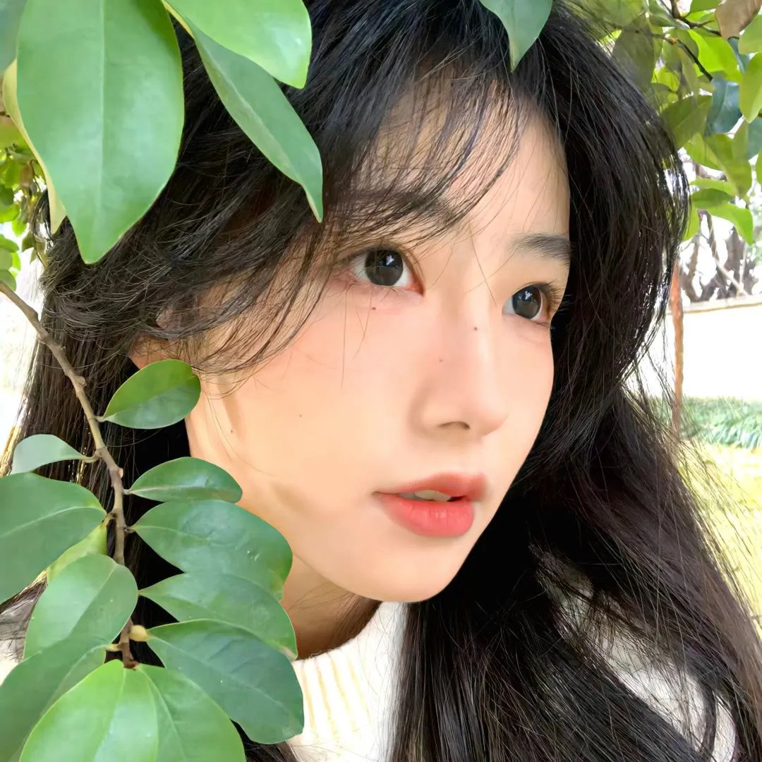 红蝎子之带泪梨花