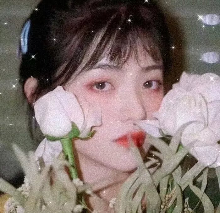 夫仇记